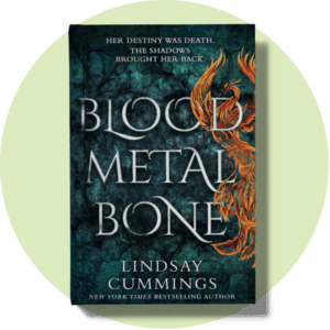 Book cover for Blood Metal Bone