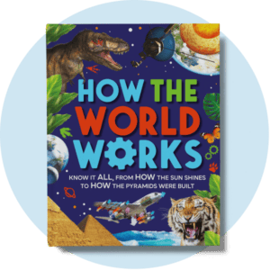 Book cover for How the World Works